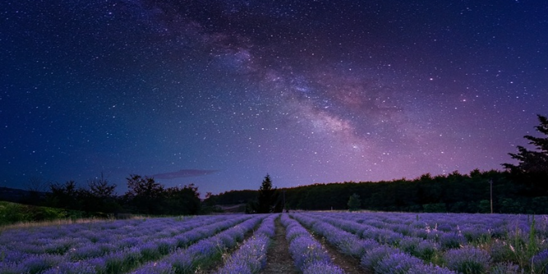 十二大従星 ― 初年期・中年期・晩年期に輝く星から、人生観を読み解く